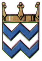 wychavon badge
