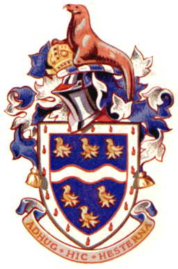 chichester rdc arms