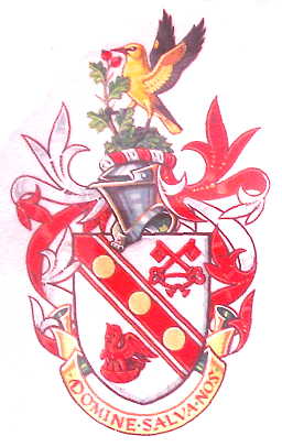 henfield pc arms