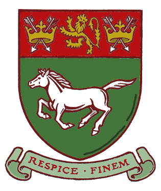 newmarket tc arms