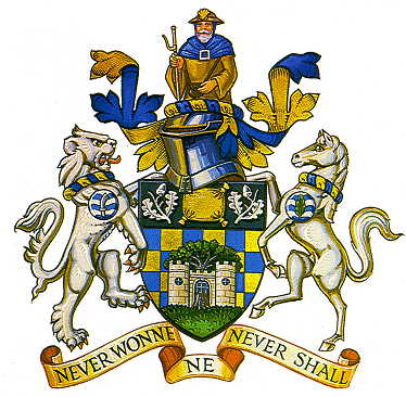 reigate and banstead bc arms