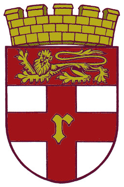 rochester city arms