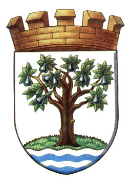 worcestershire cc arms